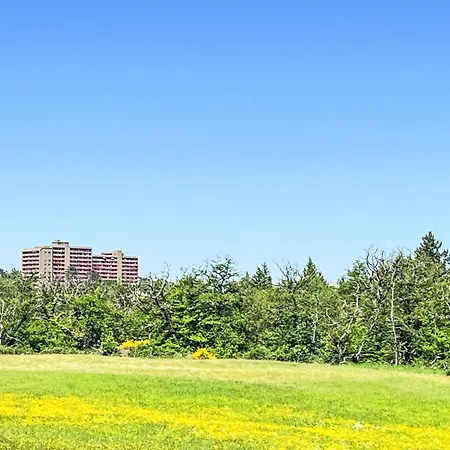 B212 By Interhome Daire